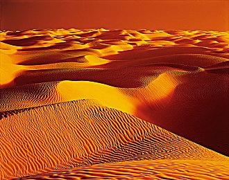 《模拟山羊：复刻版》通过评级 登陆PC和主机